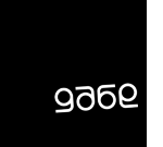 gabe logo