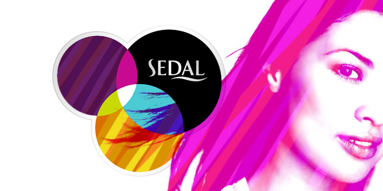 sedal visual communications concepts